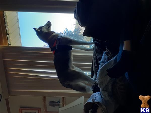 EddieCane Picture 2